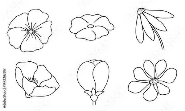 Fototapeta set of flower icons, flower elements in black and white outline hand drawn