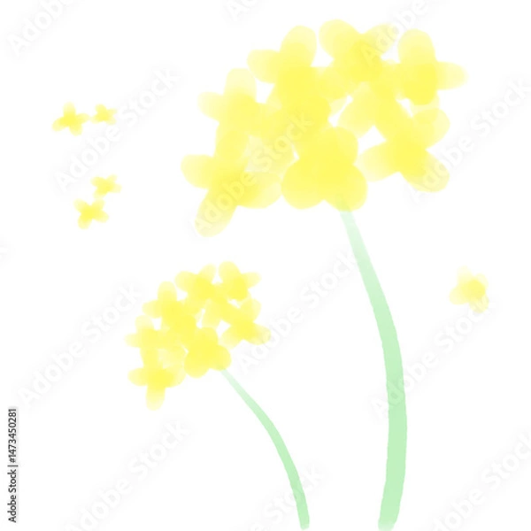 Obraz 유채꽃/개나리