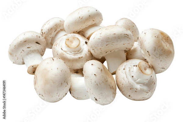 Fototapeta Close up view of a cluster of fresh champignon mushrooms on dark background on transparent background png