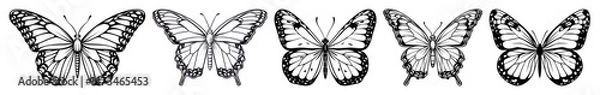 Fototapeta PNG Elegant black butterfly silhouettes, element set on transparent background