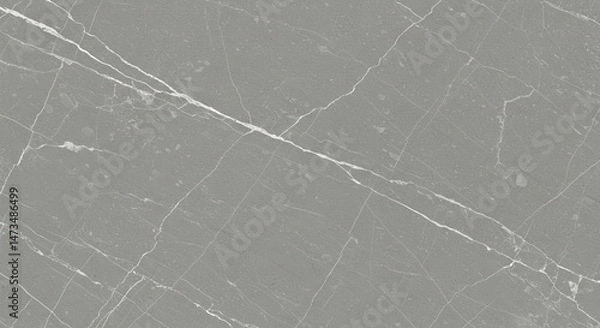 Fototapeta Gray Marble Texture with White Veins