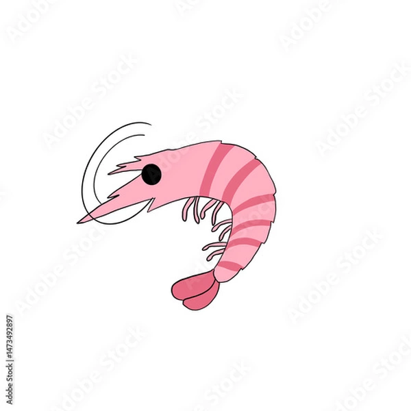 Obraz cartoon shrimp