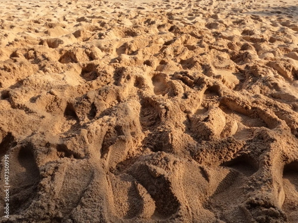 Fototapeta close up of a sandbeach