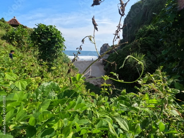 Fototapeta Beautiful beach view in Gunung Kidul Regency, Indonesia, seen from the hill leading down to the shore.