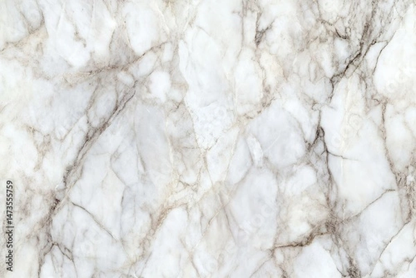 Obraz Elegant white marble texture.  Intricate veining patterns