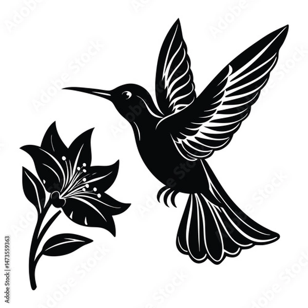 Obraz Humming bird in flight silhouette, feeding from a flower, vector