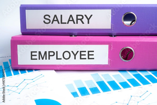 Fototapeta Salary Employee, Binder data finance report business with graph analysis in office.