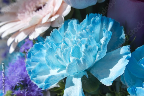 Obraz It is a blue carnation .	
