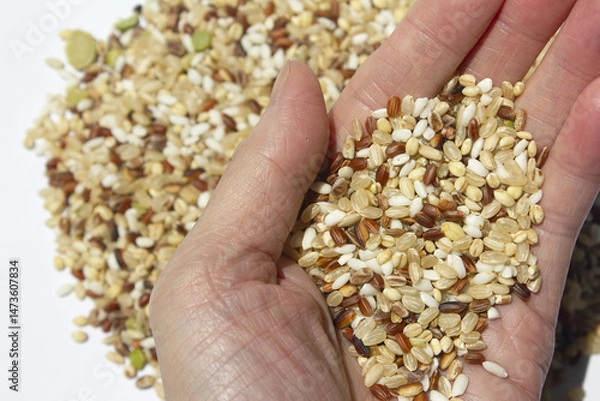 Obraz Hands and grains of grain.