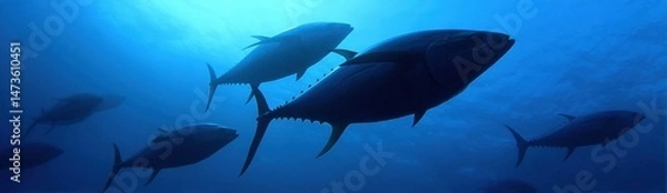 Obraz Majestic Bluefin Tuna Swimming Gracefully in Ocean Depths