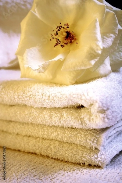 Obraz toallas y flor