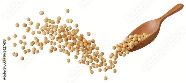 Obraz soybeans splash