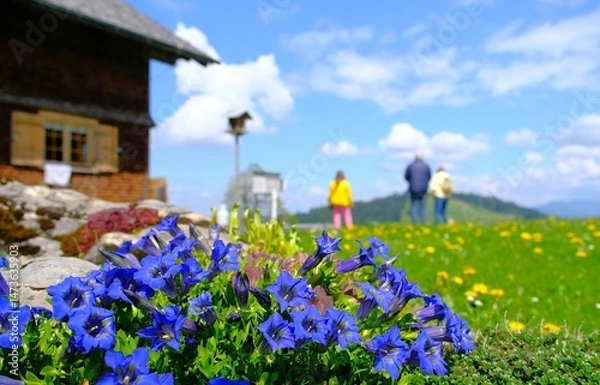 Obraz Bödele Bregenzer Wald