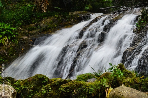 Fototapeta Beautiful Small Waterfall in summer Forest in jungle at Doi Saket Distric, Chiang Mai, Thailand