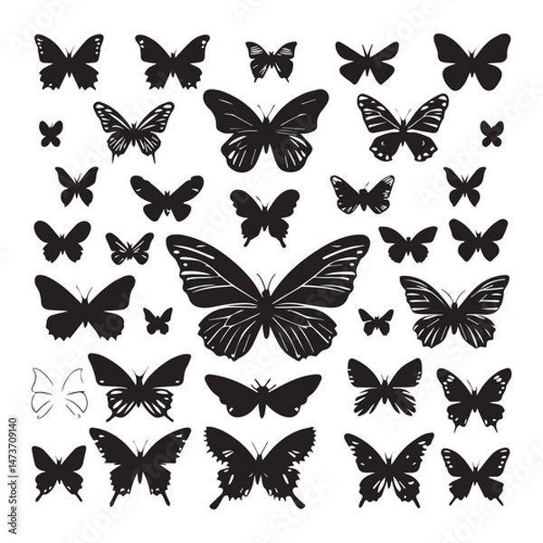 Fototapeta set of black various butterfly vector silhouettes isolated on white background