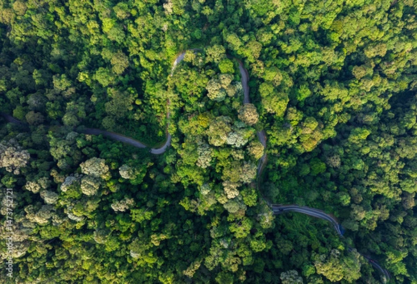Obraz Aerial view of road in the middle of tropical rainforest