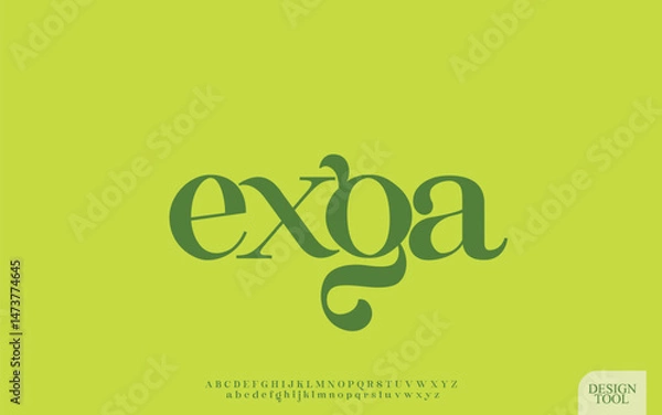 Fototapeta Elegant Serif Font with Playful Ligatures and Modern Vintage Style
