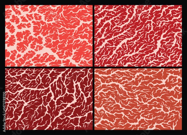 Fototapeta Meat marbled texture set. Raw red fresh meat slice for cooking, aged steak pattern. Macro of premium cow meat background with structure and streaks. Flat cartoon vector illustration
