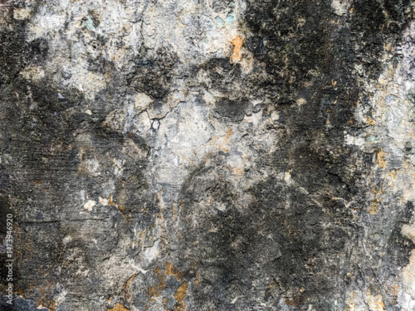 Fototapeta The wall exhibits significant surface damage, characterized by an uneven texture. Deterioration is evident in the peeling paint and embedded remnants of dried vegetation. This contributes to a rough.