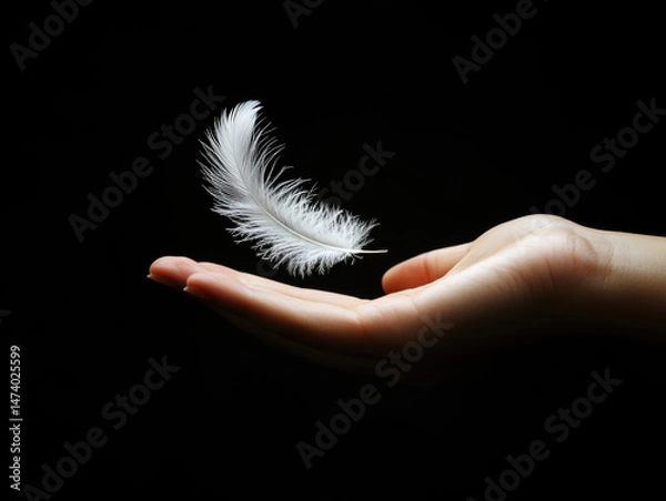 Fototapeta White feather floating gently above an outstretched hand in darkness