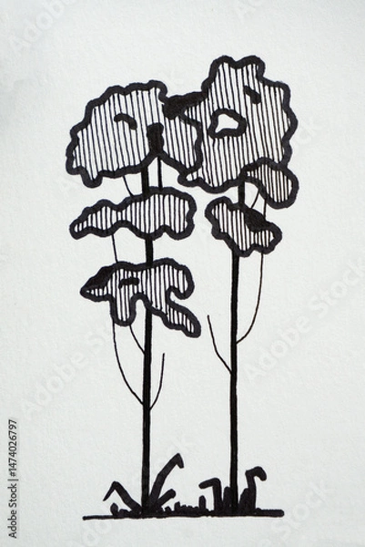 Fototapeta Pine, coniferous tree on white isolated background. Linear drawing. Mockup for logo or emblem