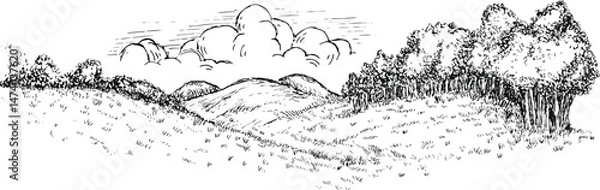 Obraz Rural nature landscape with hills grass field and trees in monochrome sketch style. Hand drawn vintage panoramic vector illustration.
