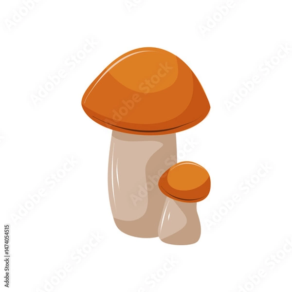 Fototapeta Two edible mushrooms of different sizes on a white background. Forest food. White mushroom, birch bolete. Isolated vector illustration.