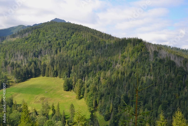 Obraz Landscape of the Tatra Mountains in the summer, view from the top of Mount Nosal. Beautiful panorama of the polish mountains, Zakopane, Poland
