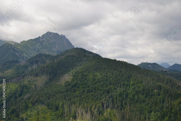 Obraz Giewont, view from the top of Mount Nosal. Beautiful summer panorama of the polish mountains, Zakopane, Poland