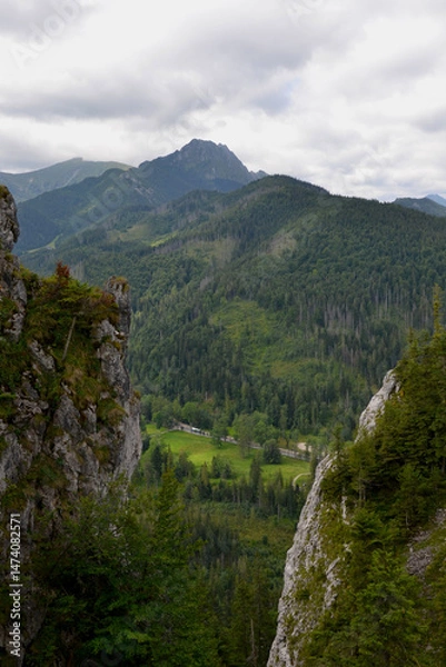 Obraz Mount Nosal in the Tatra National Park in Poland