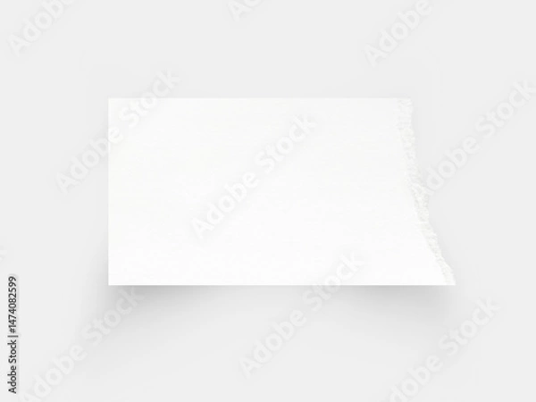 Fototapeta Torn paper edges. Ripped paper texture. Paper tag. White paper sheet for background with clipping path. Close up image.