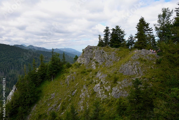Obraz Mount Nosal in the Tatra National Park in Poland