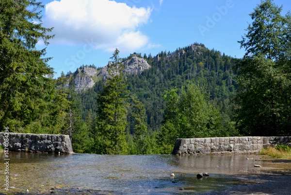 Obraz Bystra stream in the Kuznice, Zakopane, Poland. Nosal mountain view.
