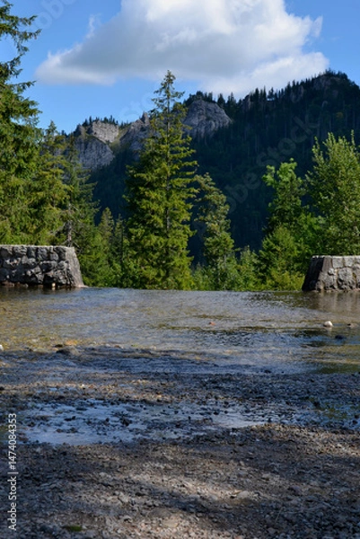 Obraz Bystra stream in the Kuznice, Zakopane, Poland. Nosal mountain view.