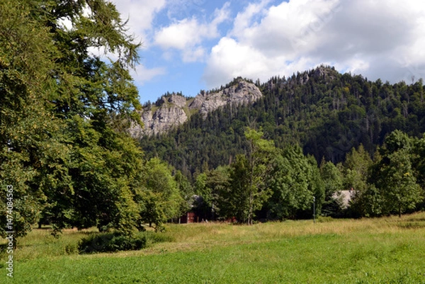 Obraz Mount Nosal in the Tatra National Park in Poland