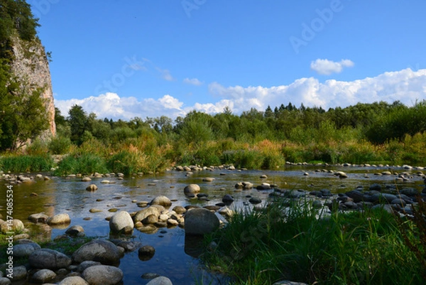 Obraz Nature reserve of the Bialka River Gorge, Podhale, Poland.  Białka mountain river running through southern Poland, a tributary of the Dunajec River