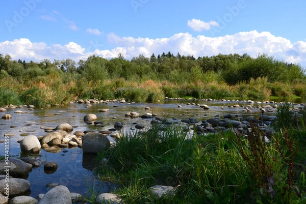 Obraz Nature reserve of the Bialka River Gorge, Podhale, Poland.  Białka mountain river running through southern Poland, a tributary of the Dunajec River