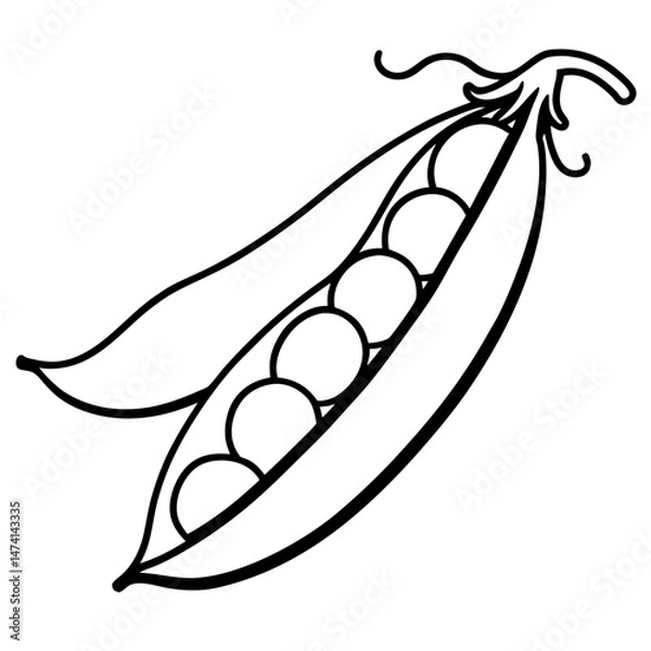 Obraz Minimalist Peas Vector Illustration