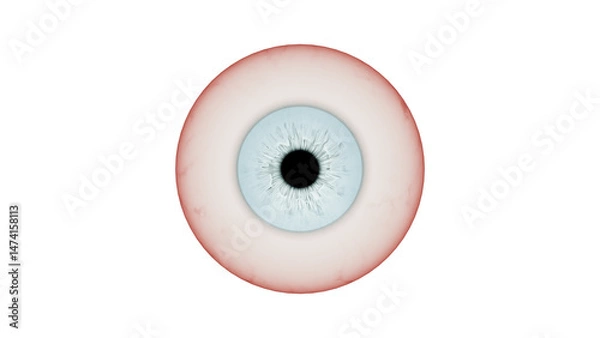Obraz blue eye isolated on white
