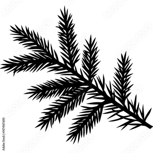 Obraz christmass tree  branch