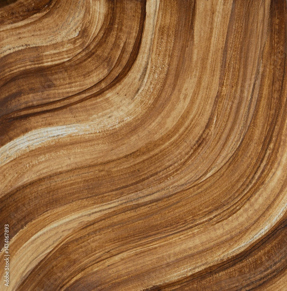 Fototapeta Abstract wooden background of a sawn tree, rings.