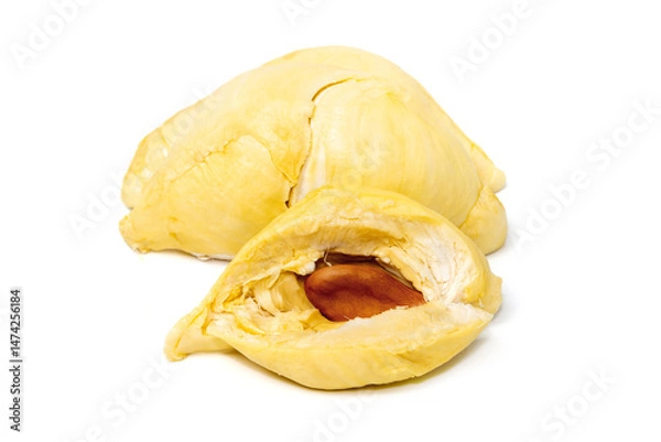 Fototapeta Mon Thong durian pulp with visible seed a popular Thai fruit known for its creamy texture and strong aroma isolated on white background