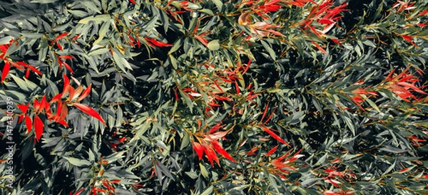 Fototapeta Intricate foliage pattern with vibrant red accents, offering a nature-inspired composition