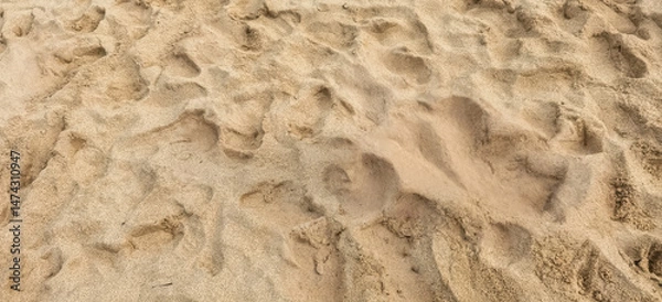 Fototapeta Intricate footstep patterns etched onto the beach's golden sand surface