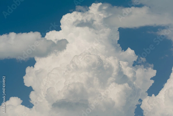 Fototapeta White cumulus clouds on clear blue sky background close up, beautiful aerial cloudscape view, azure skies backdrop, copy space.