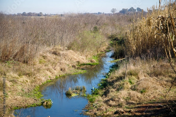 Obraz grass on the beach