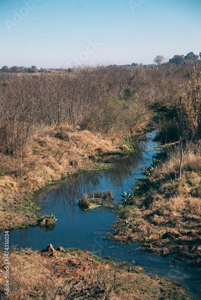Obraz the river in the desert
