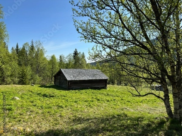 Obraz Rustic old wooden cabin nestled in a vibrant green meadow beneath a clear, bright blue sky in north Sweden.