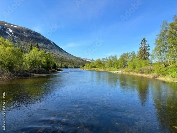 Obraz River winds through a lush valley, under a bright blue, cloudless sky, on a sunny day in north Sweden.