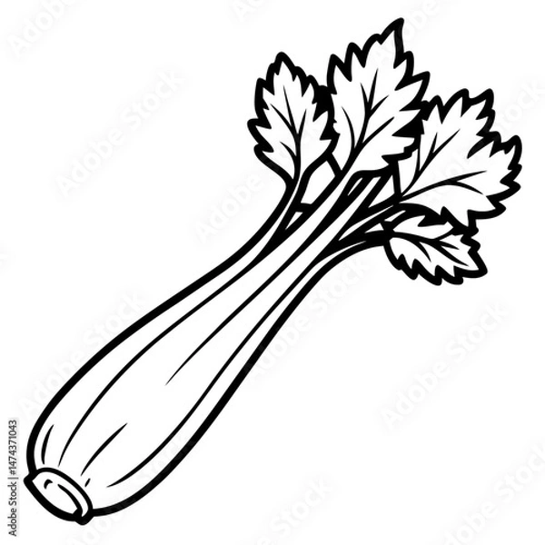 Obraz Minimal Celery Vector Illustration